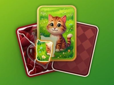 Puzzle Solitaire Picture Match